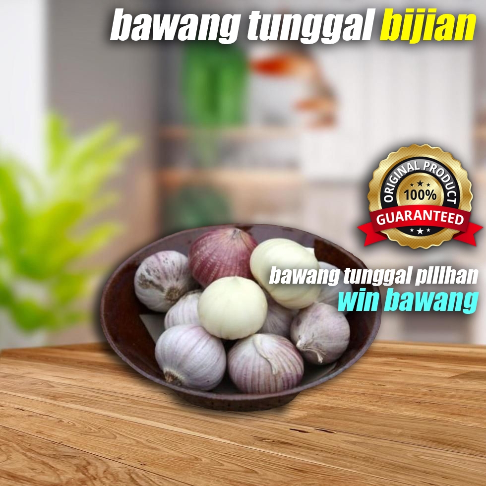 

Bawang Putih Tunggal Lanang Bijian