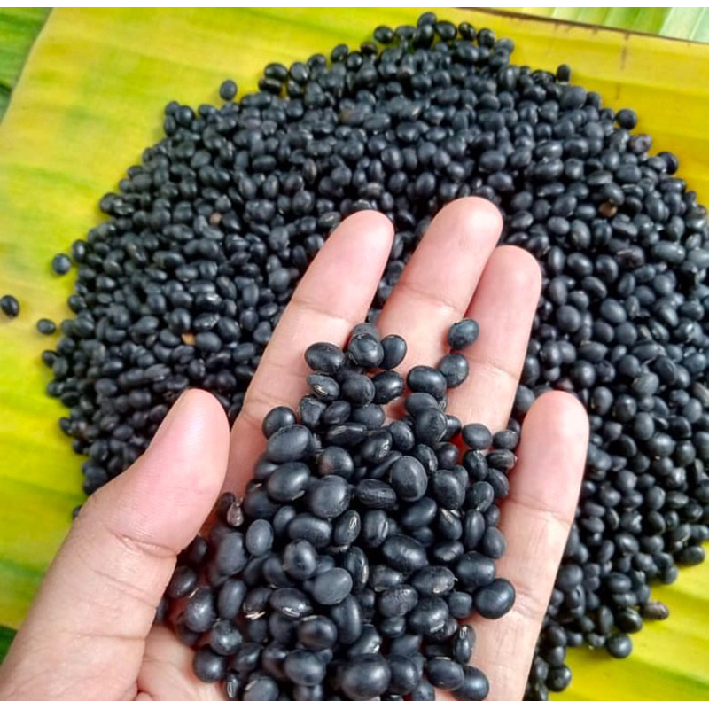 

GROSIR KEDELAI HITAM 2KG /COD