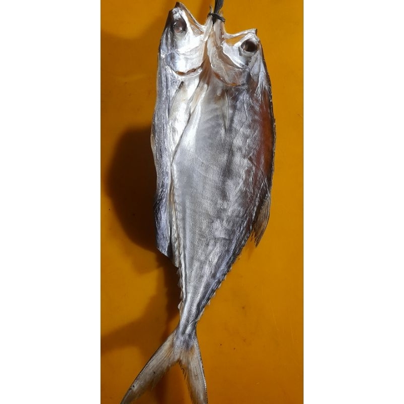 

ikan asin talang kota langsa (jaminan non pengawet)