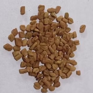 

Lu Ba Zi/芦巴子/Trigonella foenum-graecum/fenugreek