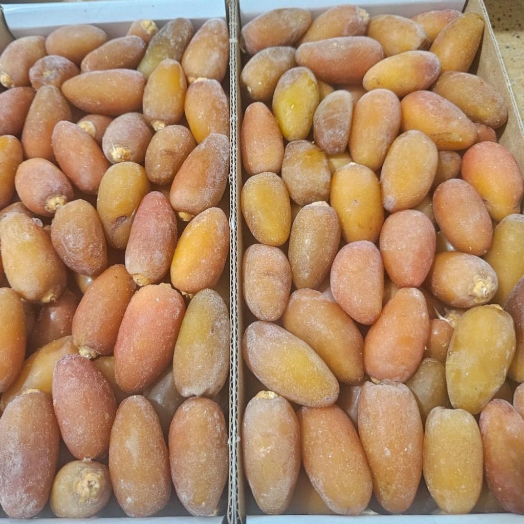 Ruthob Libya Organic 1 kg Fresh Kurma Ruthab Libya Kurma Muda Kurma Mengkel 1kg