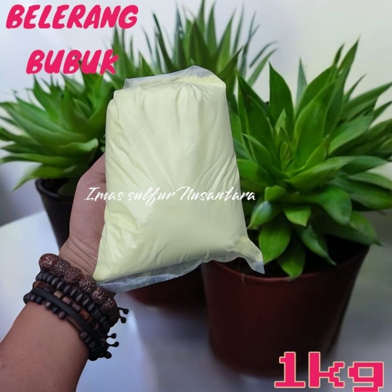 BELERANG BUBUK 1KG ASLI DARI ALAM