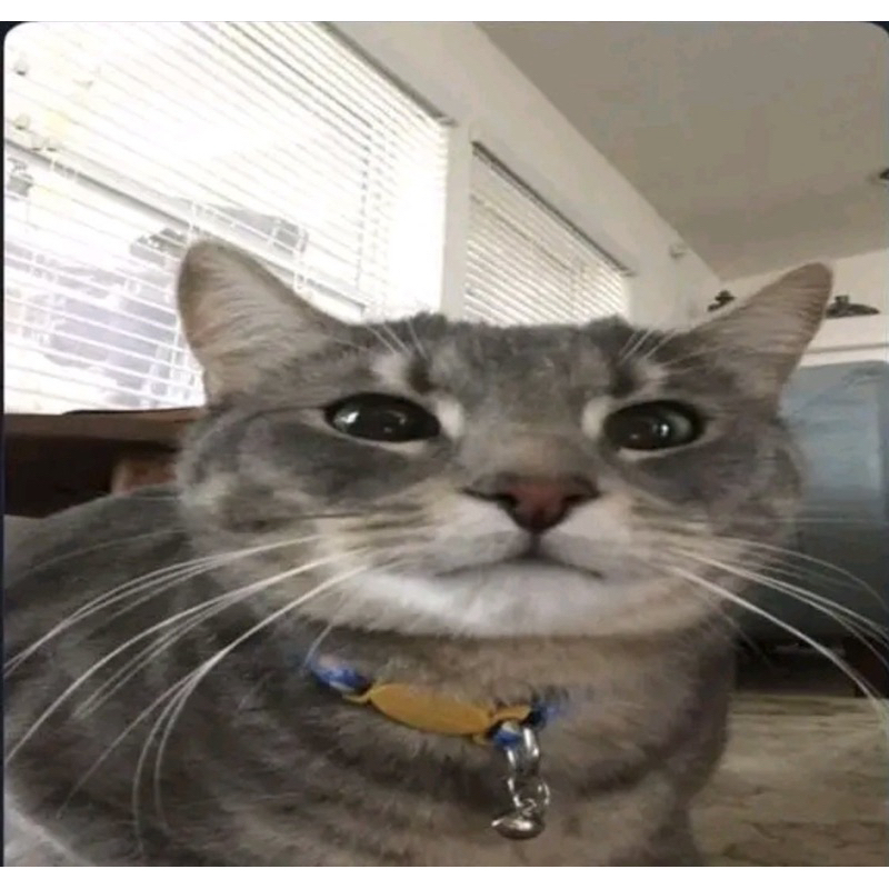 mainan kartu asosiasi/iq