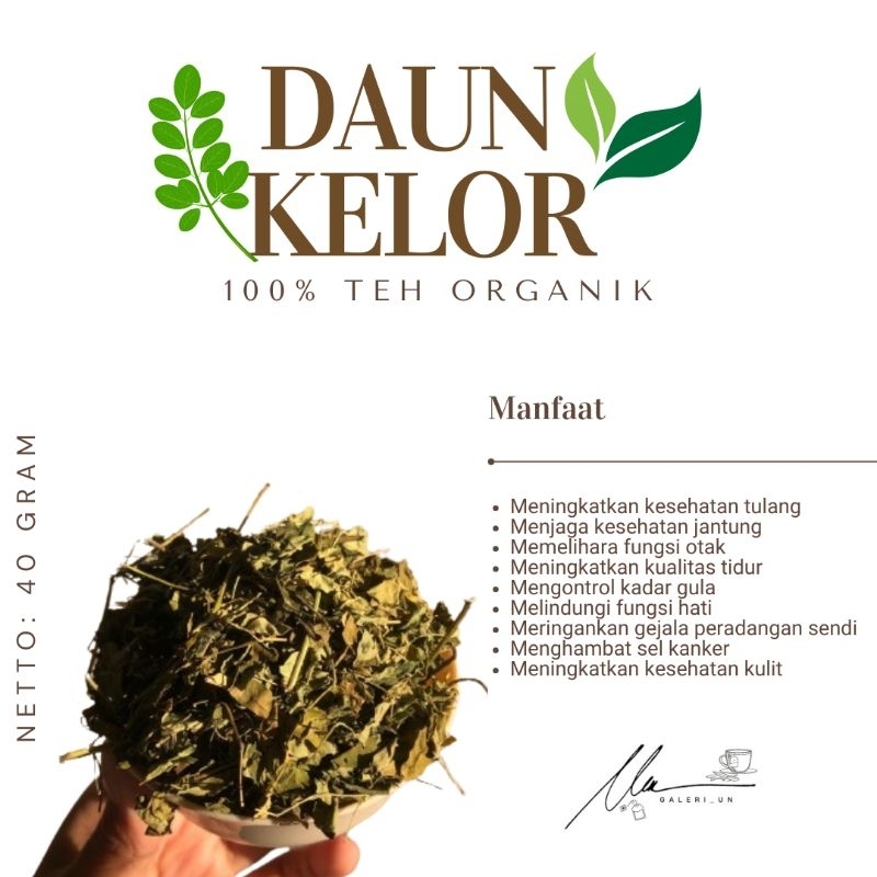 

Daun Kelor kering (TEH DAUN KELOR)