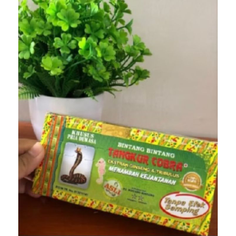 

Jamu tangkur cobra original