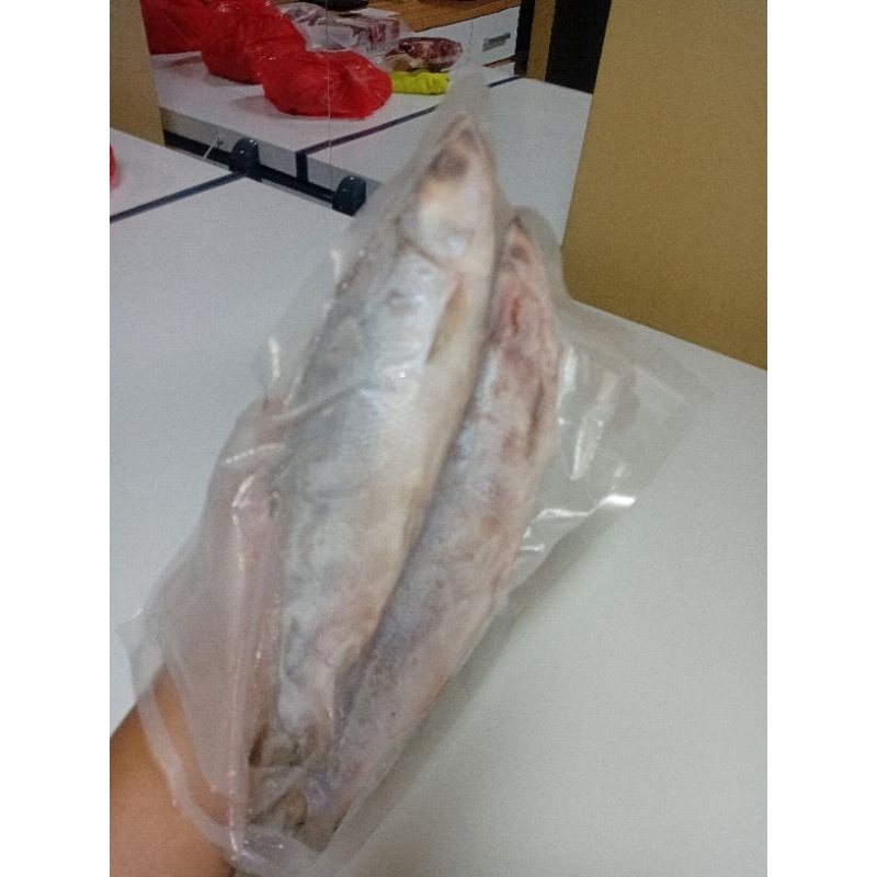 

ikan bandeng/bandeng frozen/ikan bandeng frozen 500 gr isi 2