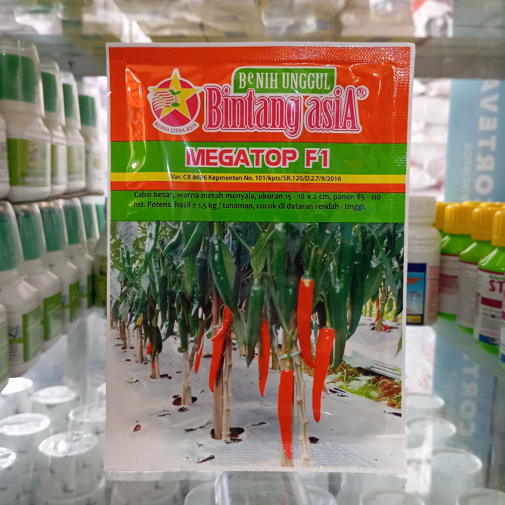 Benih Cabe Besar MEGATOP F1 10 Gram Bintang Asia