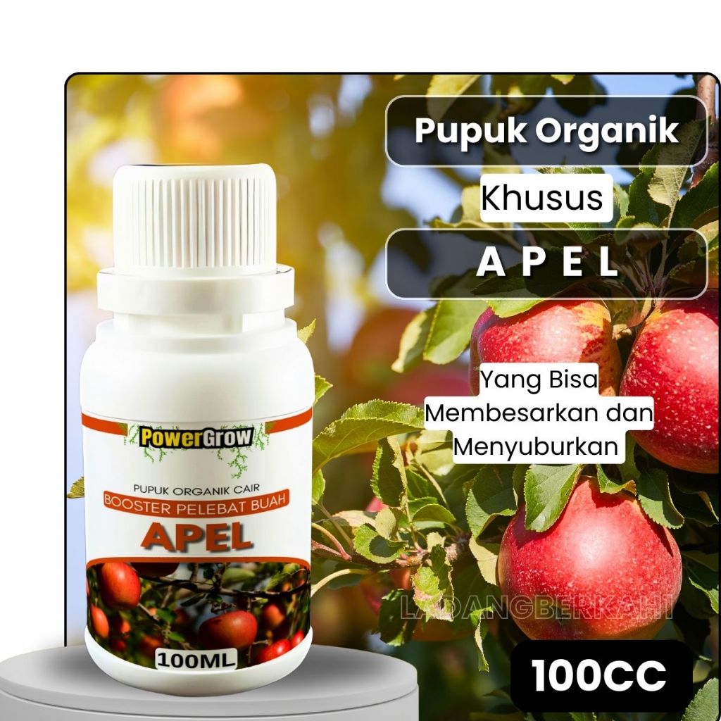 Pupuk Apel Perangsang Pertumbuhan Akar Pohon Booster Apel Pelebat Dan Penyubur Buah Dan Pohon
