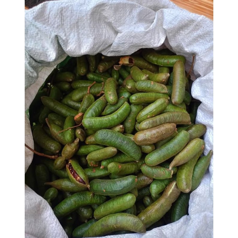 

1kg KABAU KULIT KANCING/PEL (KUQLITAS SUPER) KABAU PALEMBANG