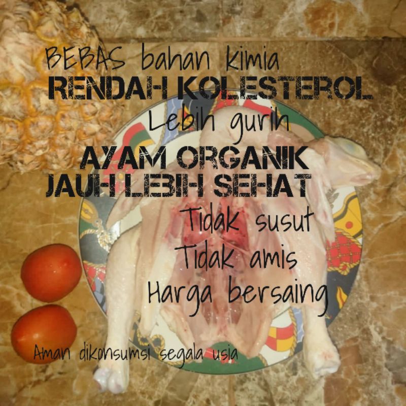 

ayam organik #jauh lebih sehat#padat berserat#tidak amis#tanpa suntik Dan obat