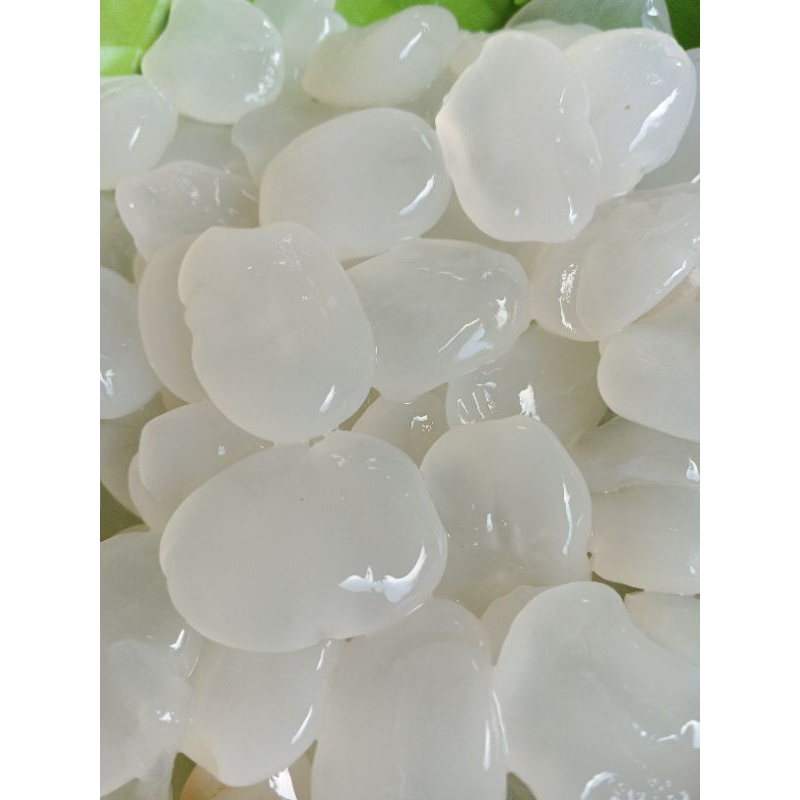 

KOLANG-KALING 1 KG FRESH