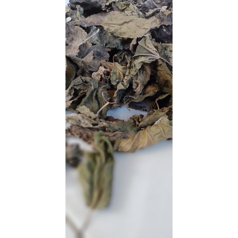 

Daun Murbei/Mulberry Kering | Teh Daun Murbei/Mulberry| 50gram| Organik Non Pestisida