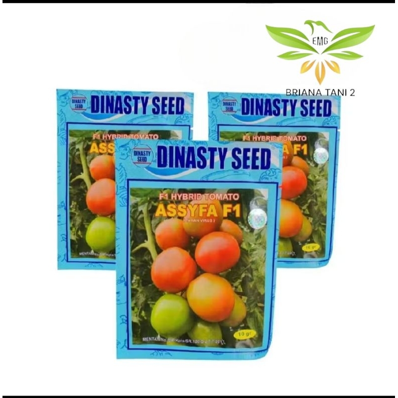 Assyfa F1 10gr Hybrid Tomato Dinasty Seed