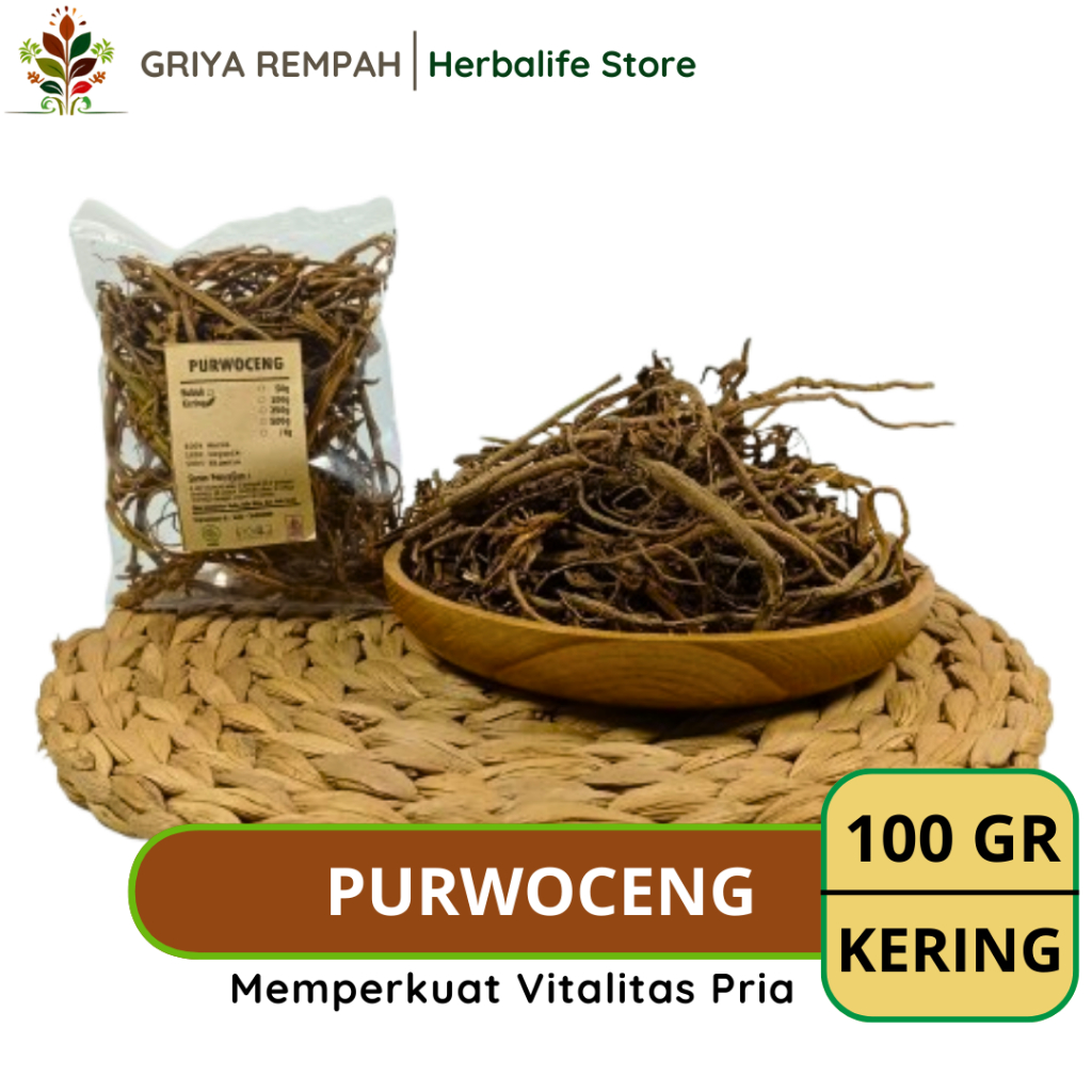 

PURWOCENG KERING 100 GRAM Premium – Purwaceng Akar Ramuan Rempah Herbal Alami untuk Stamina & Vitalitas Pria Jamu Tradisional Simplisia Pimpinella pruatjan