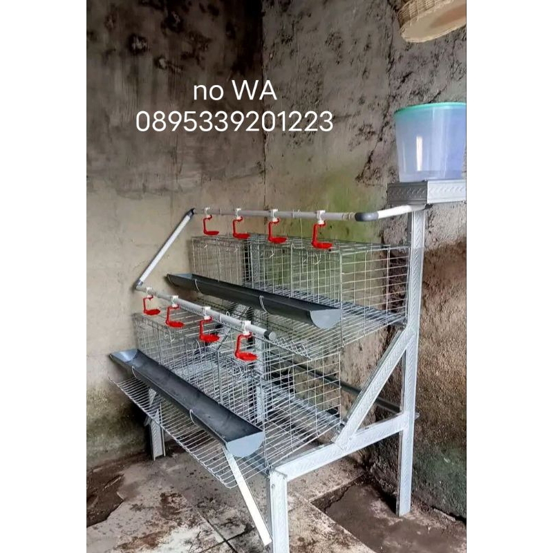 kandang ayam galvanis untuk ternak skala rumahan 2tingkat isi 16 ekor