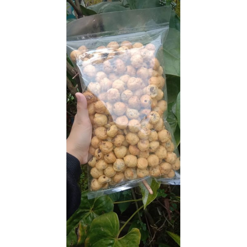 

soes nissin kemasan 500 gram terlaris