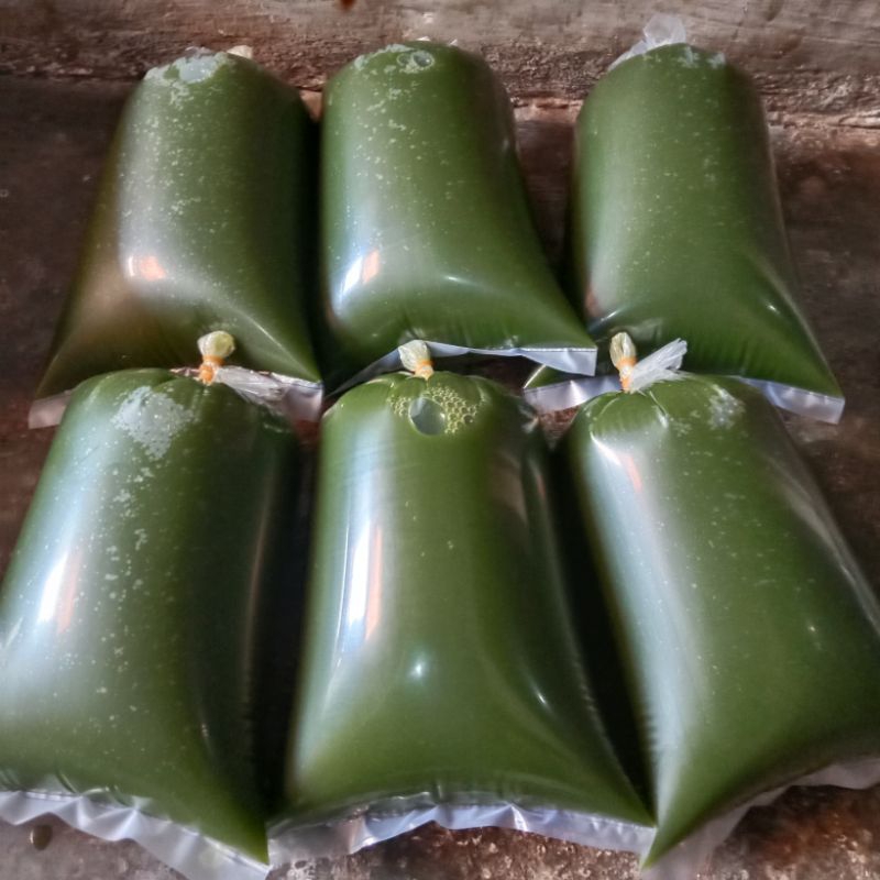 

RB Cincau Hijau Organik Siap Saji Kemasan Plastik 1kg Gula / Santan Sudah Terpisah