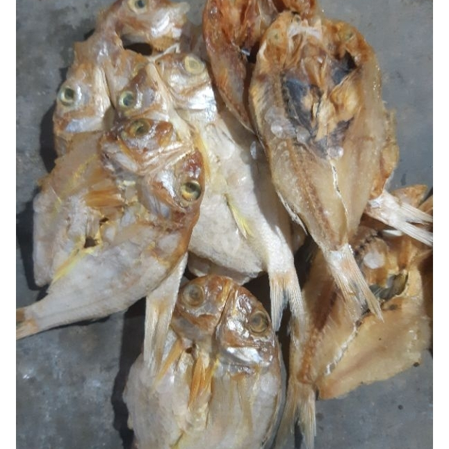 

ikan asin kuniran belah SLP KNR