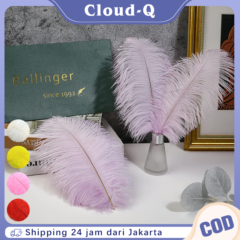 Bulu Ostrich 5pcs Replika Bulu Dekorasi Bulu Kemucing Hiasan Kepala Karnaval Ostrich Feather