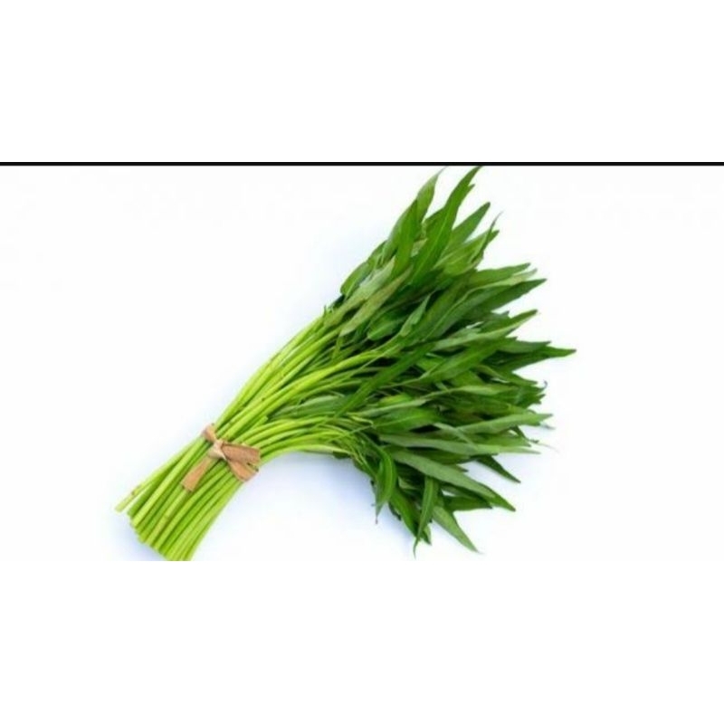 

1 ikat kangkung segar