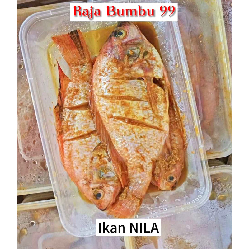 

IKAN MARINASI NILA LELE DLL