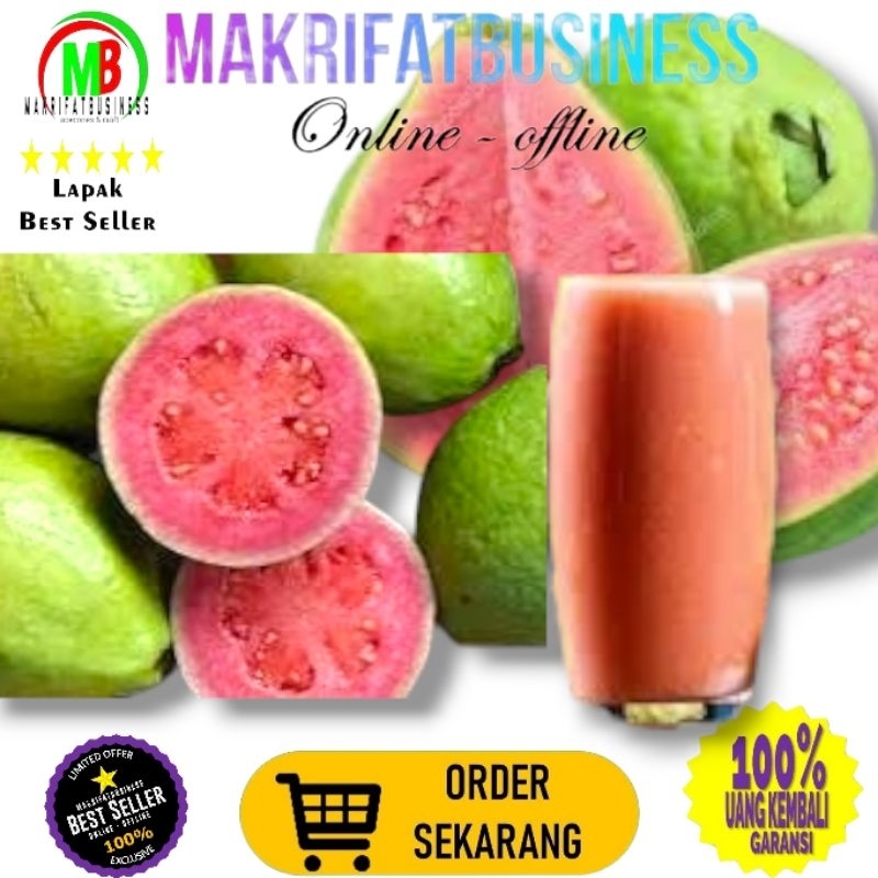 

MAKRIFATBUSINESS Paket 1 Biji Grad A Super JAMBU BIJI MERAH JAMBU JUS Segar Fresh Order Langsung Petik