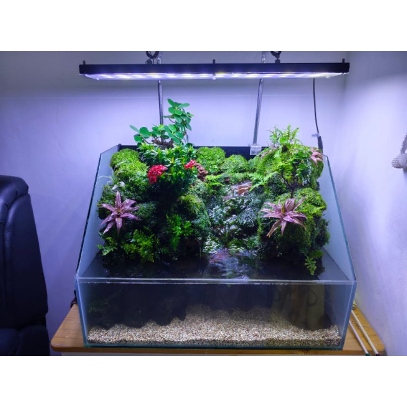 Akuarium paludarium dekorasi fullset 60cm