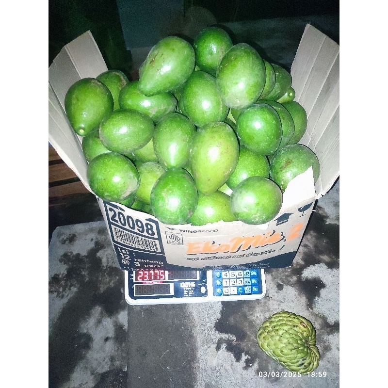 

Alpukat Mertega Boyolali 1kg(isi 3-4)