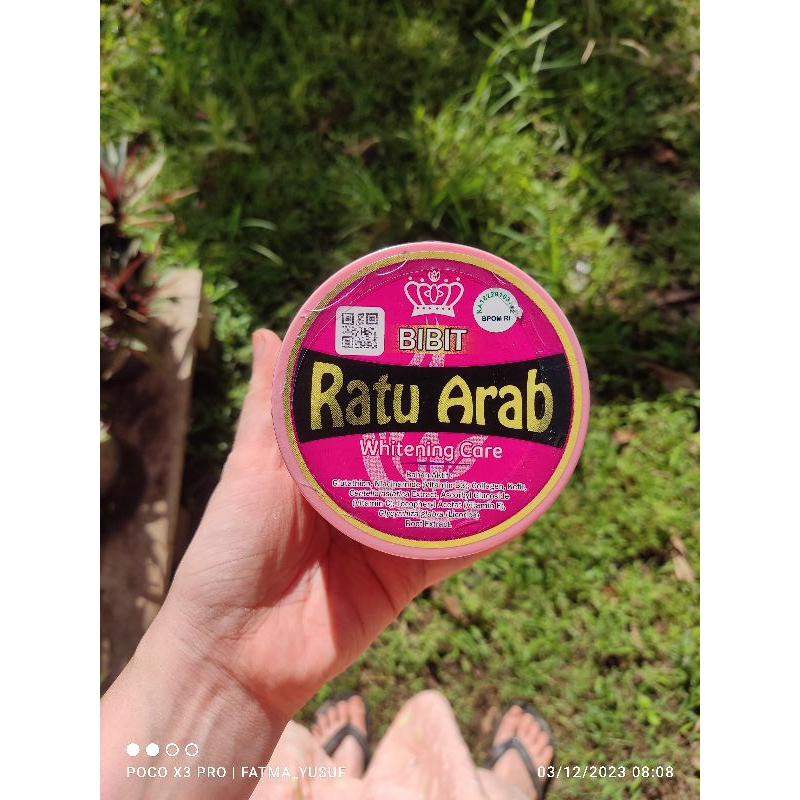 HB BIBIT RATU ARAB BPOM