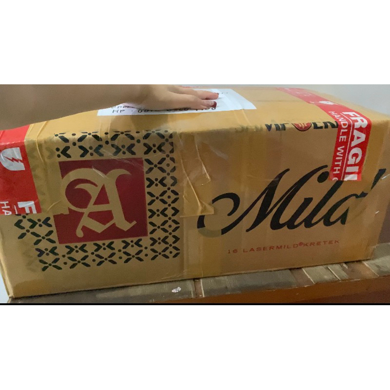 

Dendeng babi mentah GROSIR Kiloan