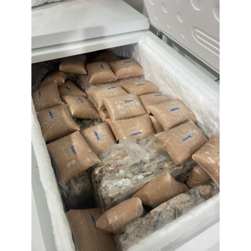 

IKAN GILING TENGGIRI KUALITAS SUPER 1kg