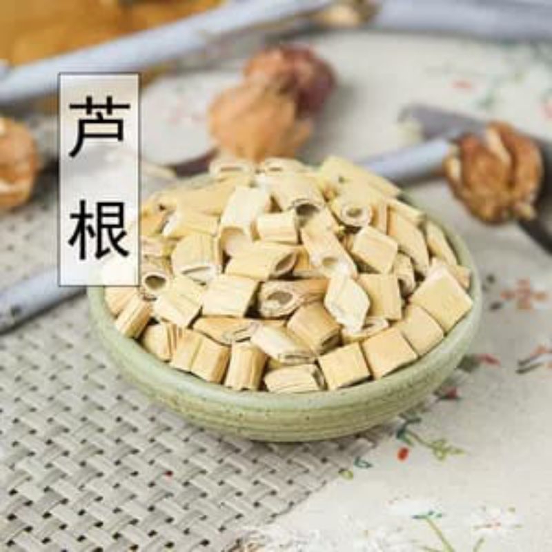 

Lu Zhu Gen/ 芦竹根/ Phragmites Australis