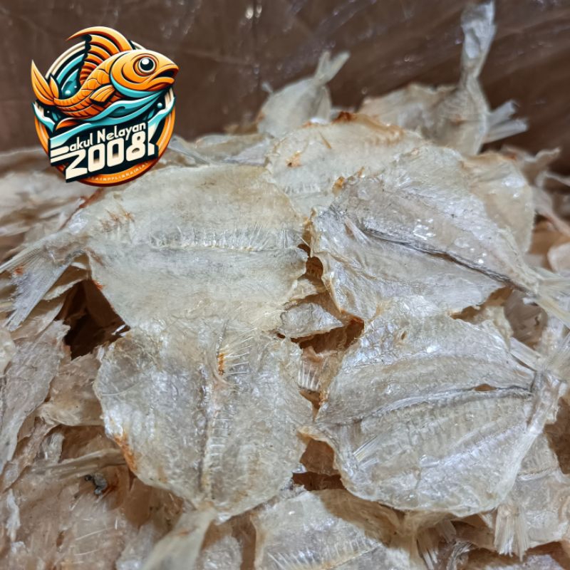 

Ikan kapasan super | ikan tawar