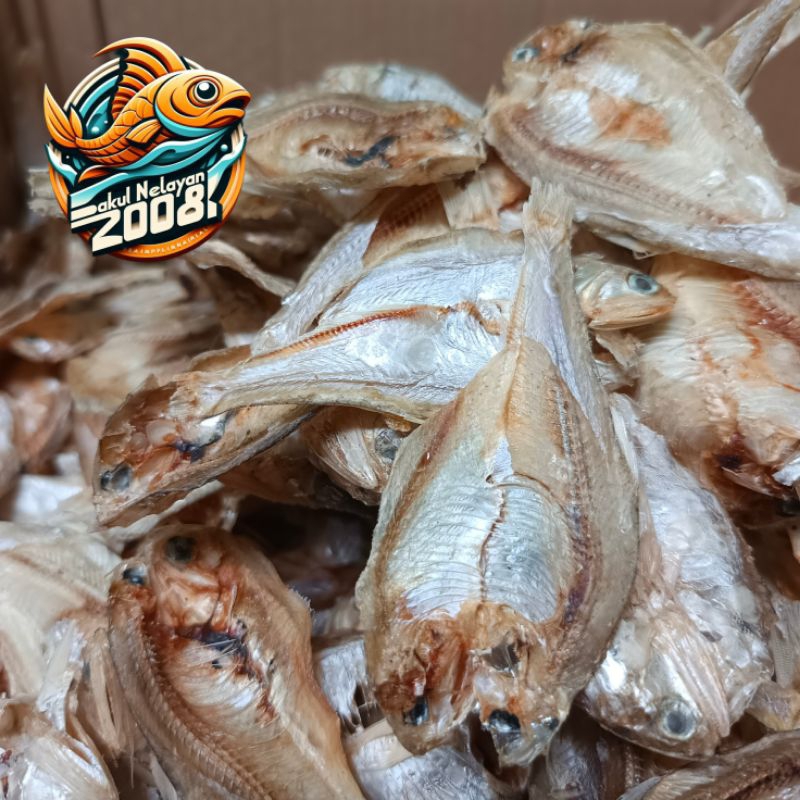 

Ikan Bilis | ikan tawar