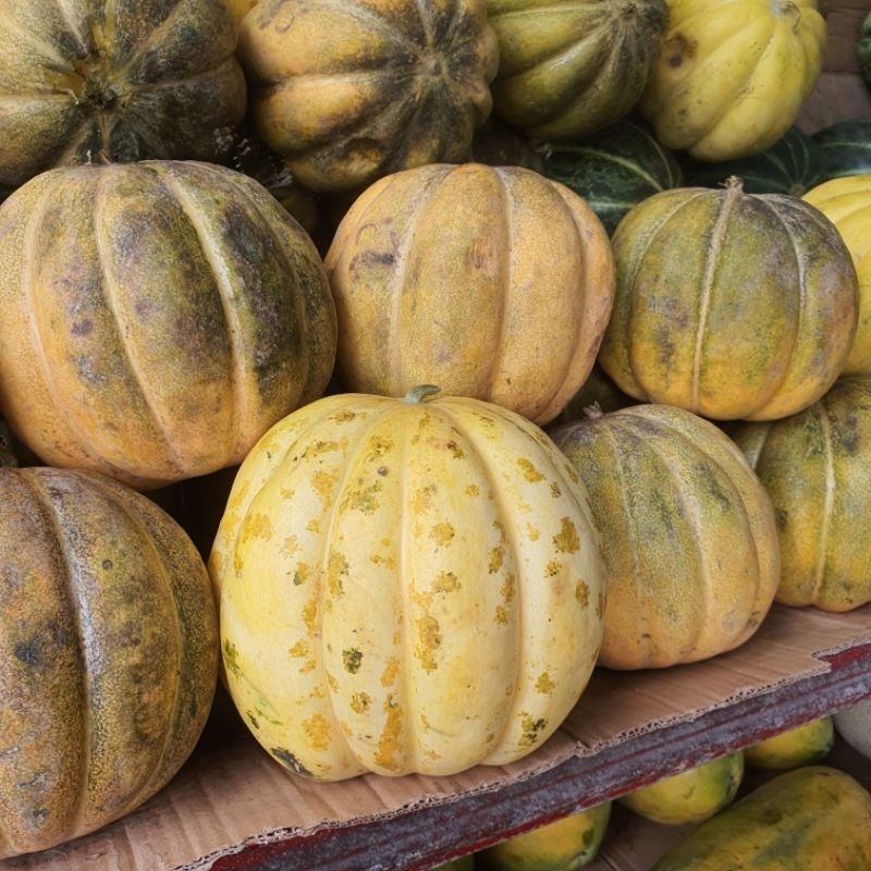 

Buah blewah 1-2kg
