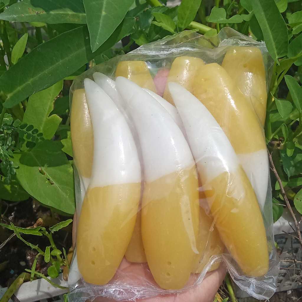 TARING / SIUNG IMITASI UKURAN JUMBO ISI 10 PCS -Bahan dari resin