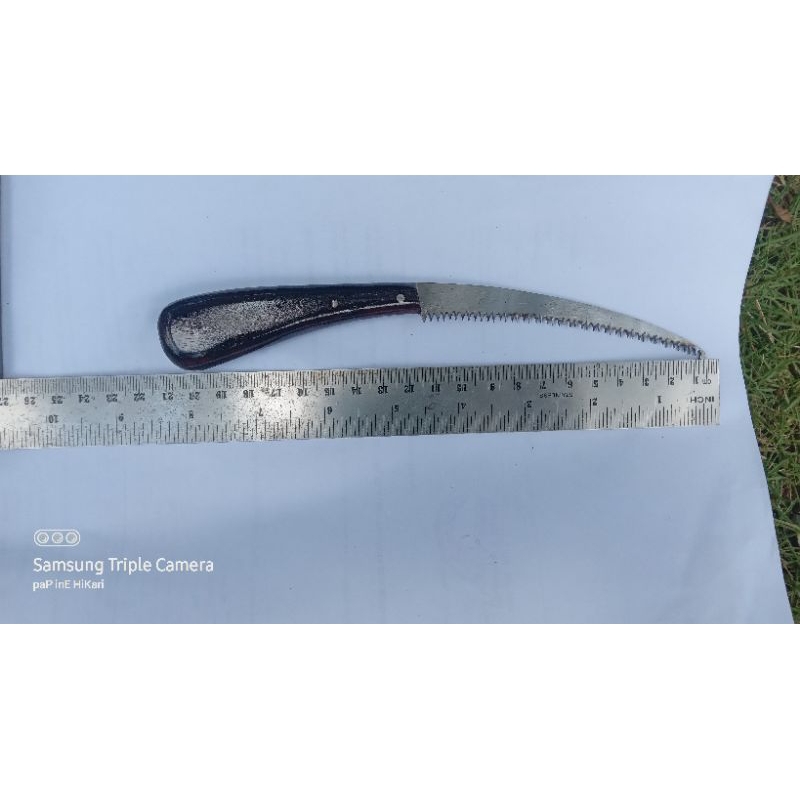gergaji bonsai lengkung 20 cm