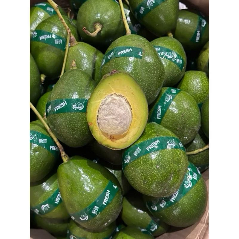 

ALPUKAT MIKI 1kg 3-4pcs (Varietas Unggulan Premium)