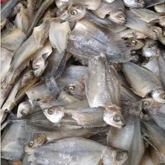 

IKAN SAPAT KERING