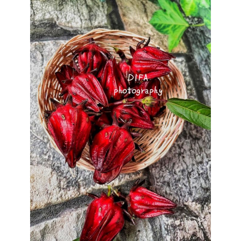

Bunga Rosella herbal alami