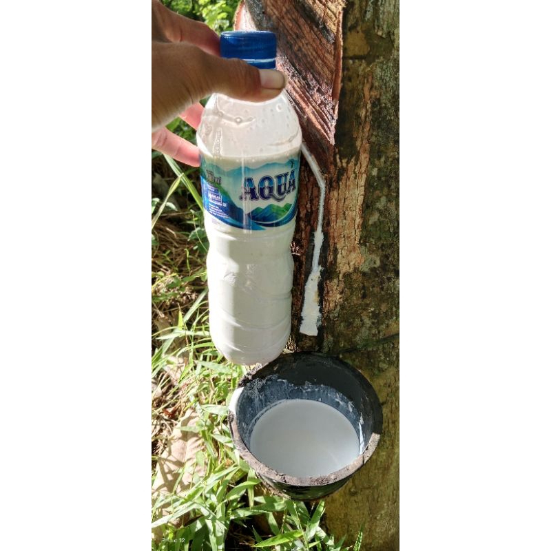 Getah karet Cair asli murni isi 600mil , bisa COD