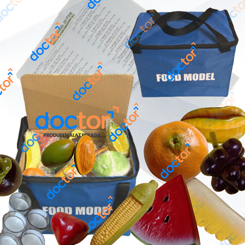 Food Model Makanan Isi 26-Replika Makanan 4 Sehat 5 Sempurna-Alat Peraga Pendidikan/Edukasi