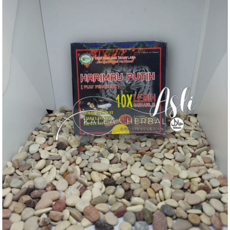 Harimau putih kapsul