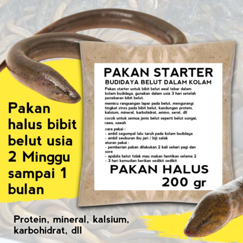 pakan ternak belut