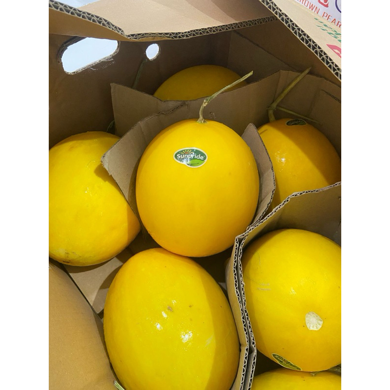 melon golden sunpride  per pcs