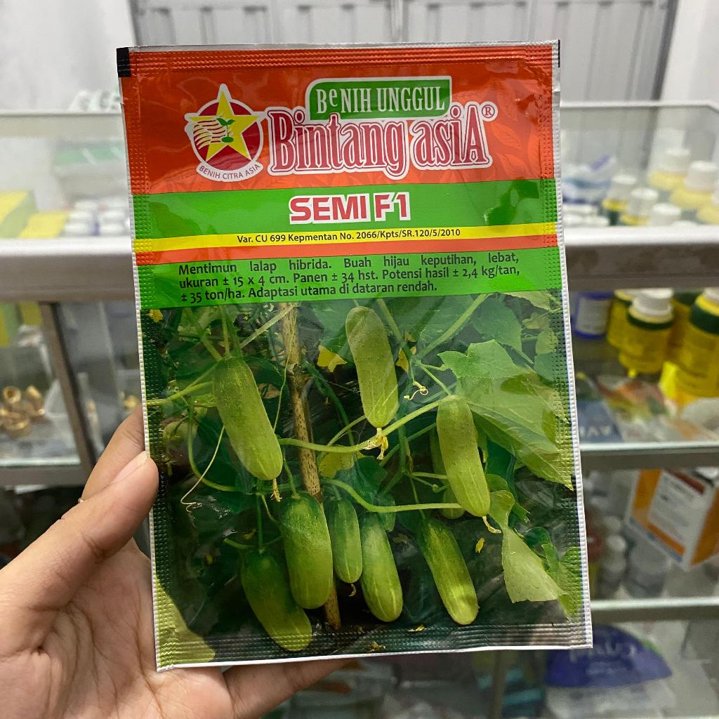 BENIH TIMUN SEMI F1 - BCA Benih Bibit Baby Timun 20gram Mentimun Hibrida Mini Lalapan