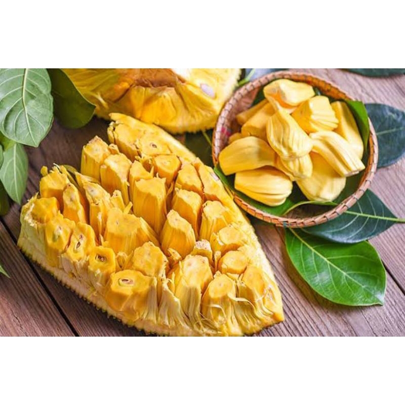 

Nangka Lagi Langka Harga Meroket Saat Puasa