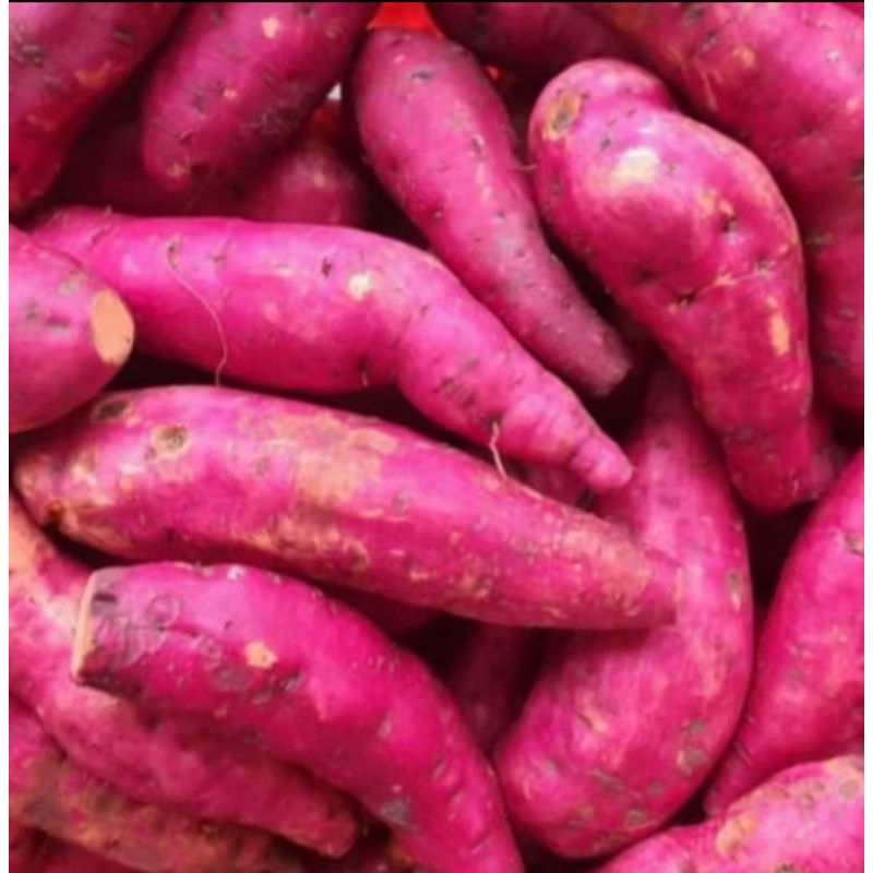 

ubi merah 1kg