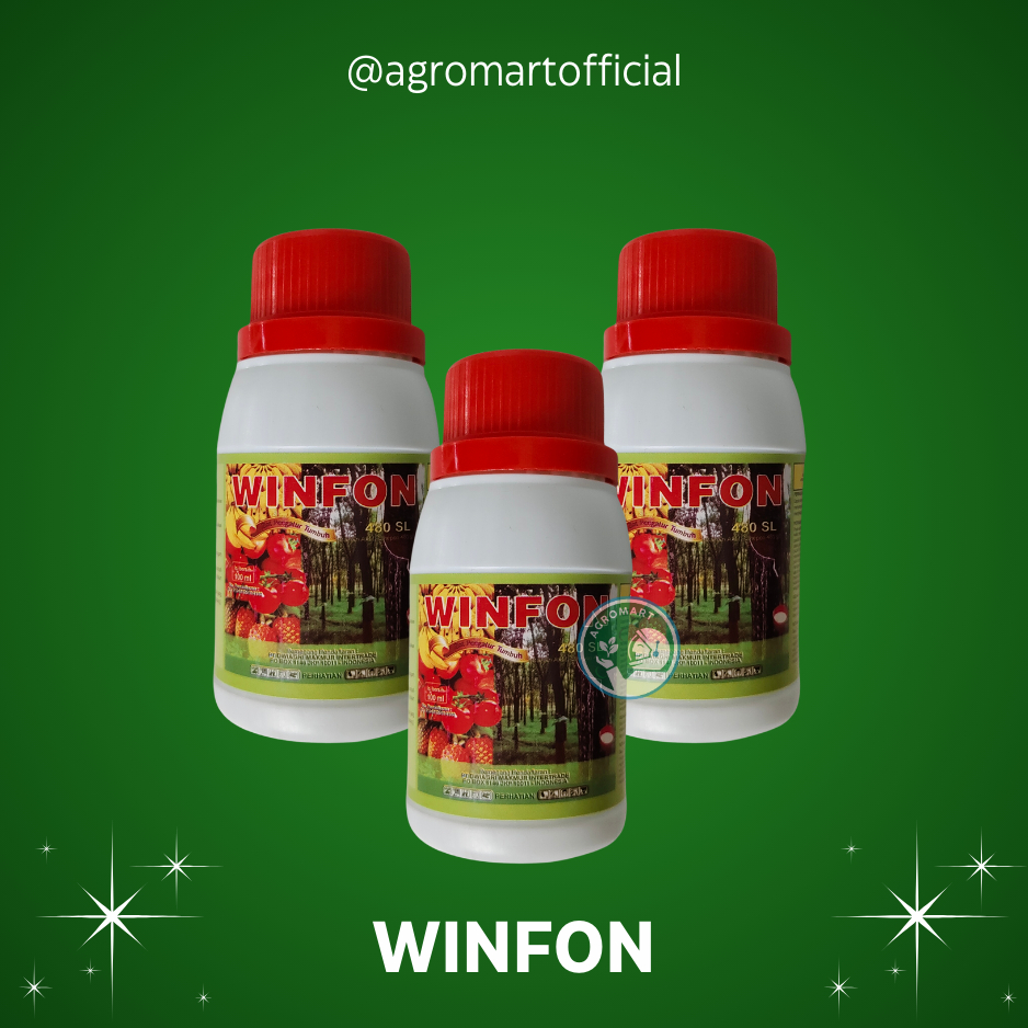 WINFON 100 ml Pematang buah