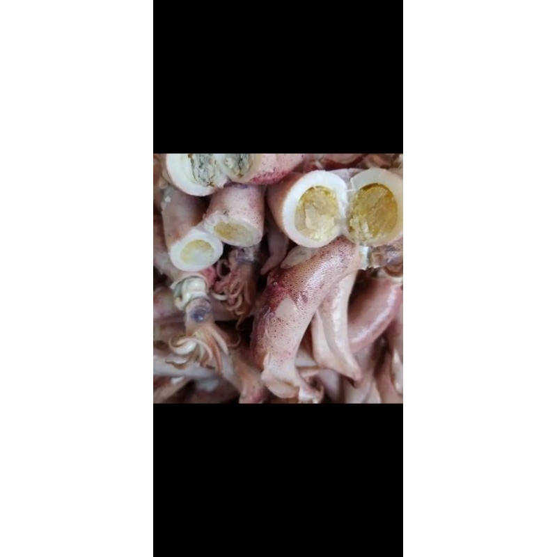 

Cumi Asin Telor 1Kg